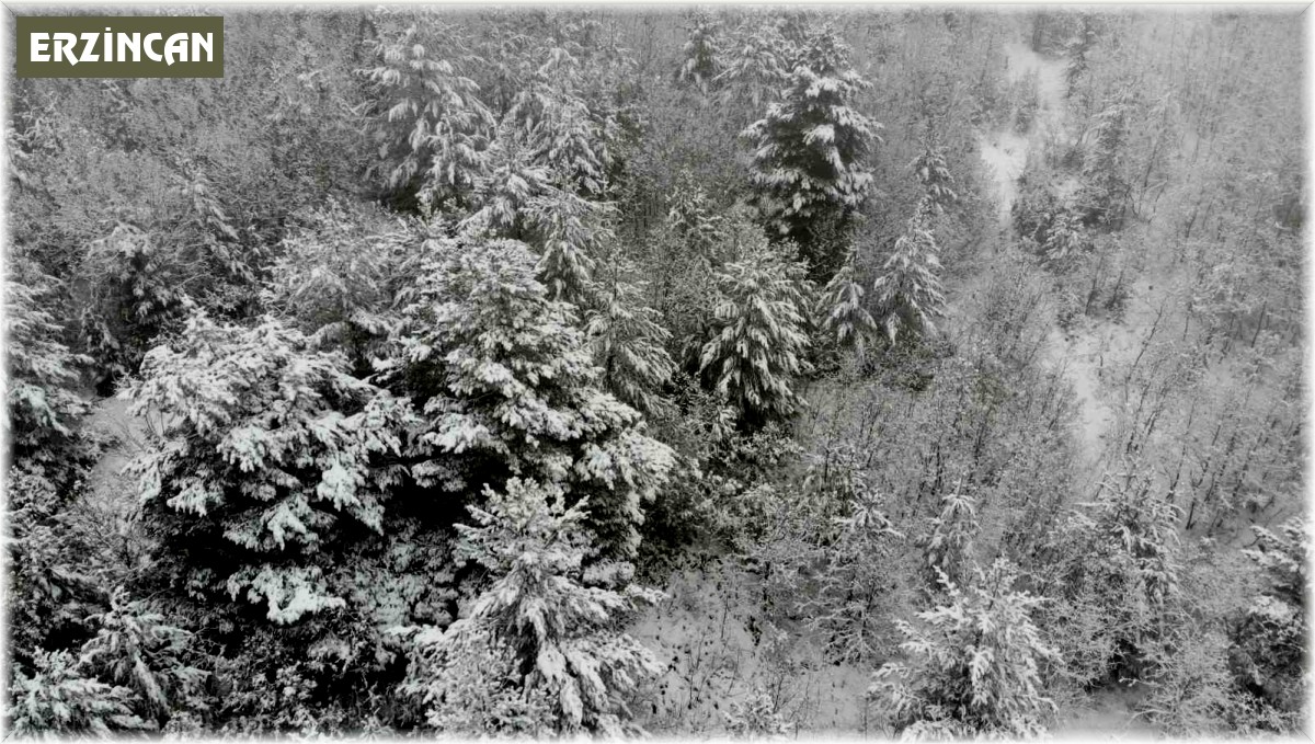 Karla kaplanan Tekçam Geçidi görsel şölen oluşturdu