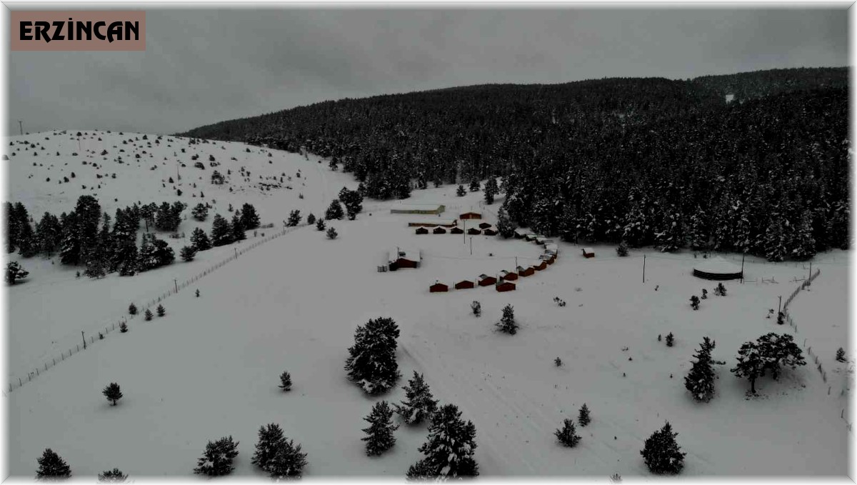 Karla kaplanan ve kartpostallık manzaraya bürünen Dumanlı Tabiat Parkı, havadan görüntülendi