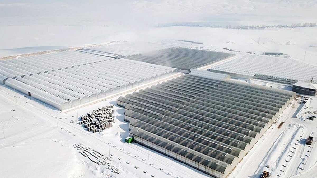 Karlar Altında Üretim: Ağrı’da 1 Milyarlık Jeotermal Sera 1.500 Kişiye İş