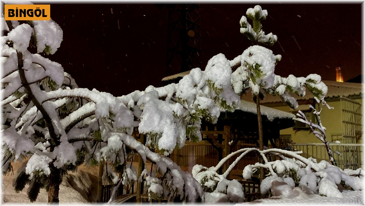 Karlıova beyaza büründü, kar kalınlığı 5 santimetreyi geçti