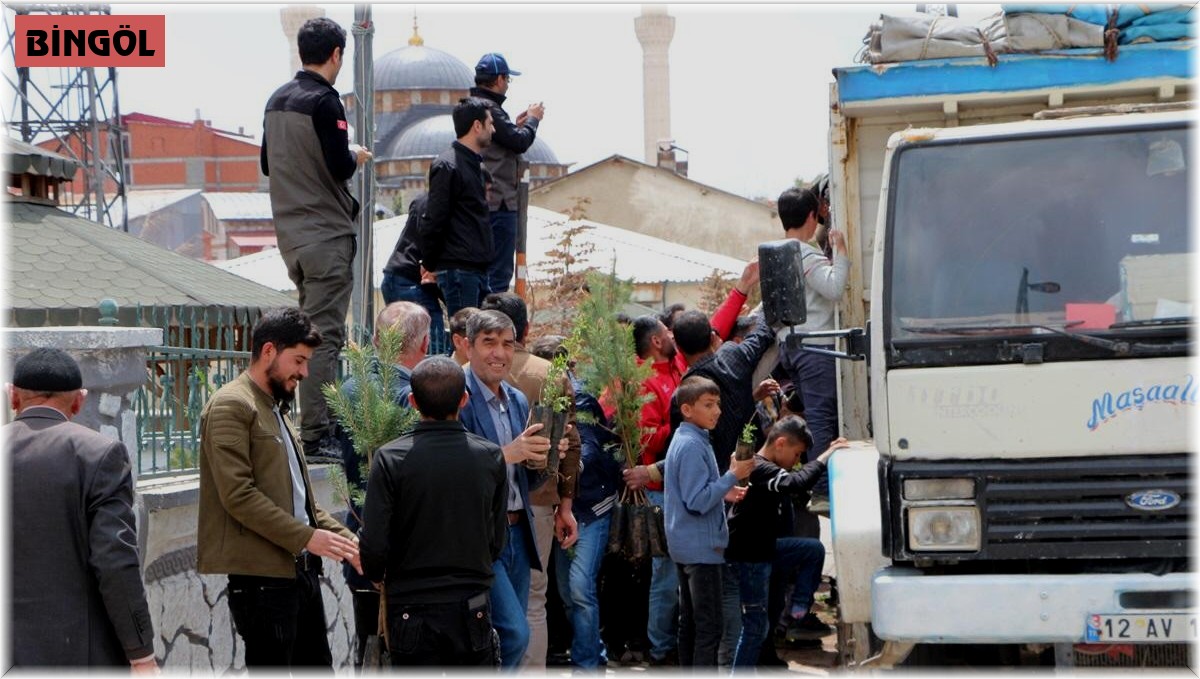 Karlıova'da 10 bin adet fidan dağıtıldı