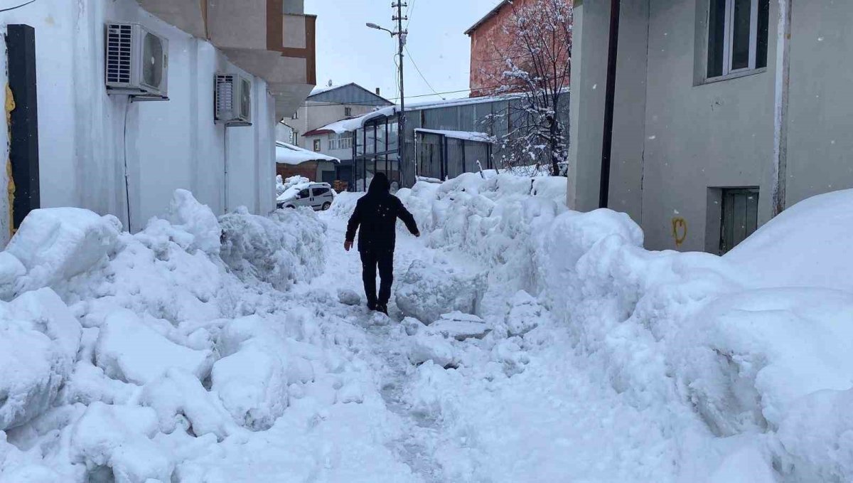 Karlıova'da 40 gündür süren kar yağışı hayatı zorlaştırıyor