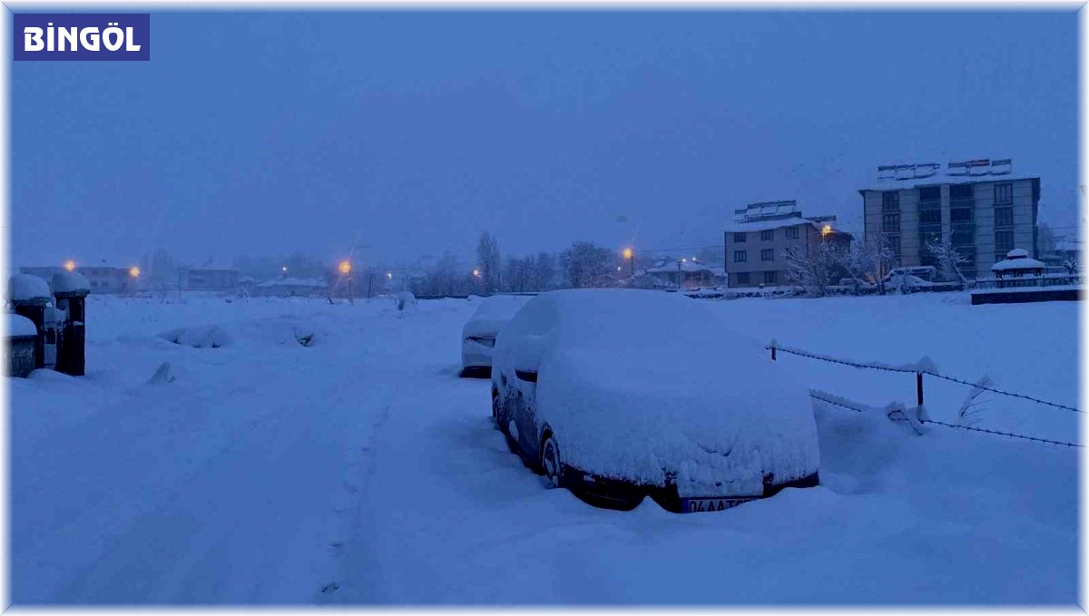 Karlıova'da 40 köy yolu ulaşıma kapandı