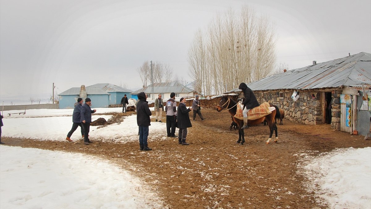 Karlıova'da 95 kuzunun yanlış ilaç nedeniyle telef olduğu iddiası