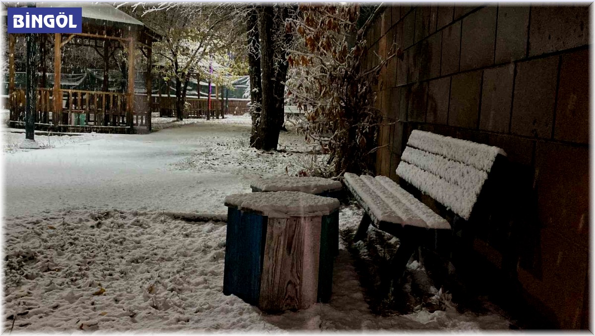 Karlıova'da beklenen kar yağışı başladı