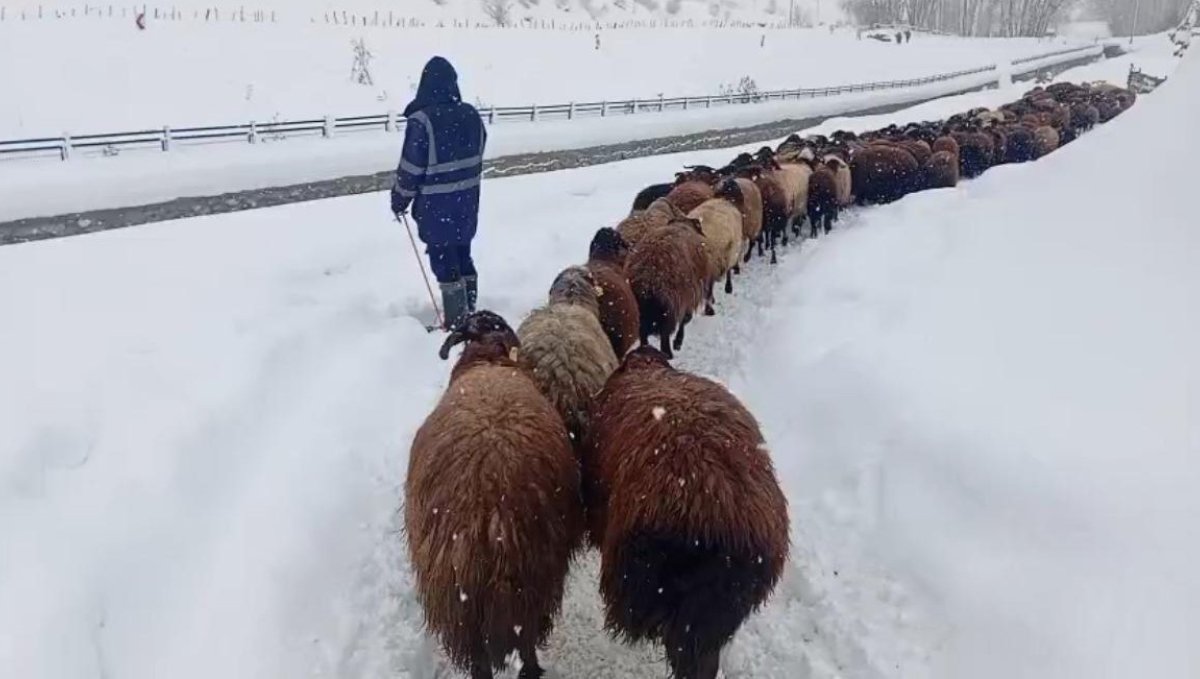 Karlıova'da besicilerin zorlu kış mesaisi