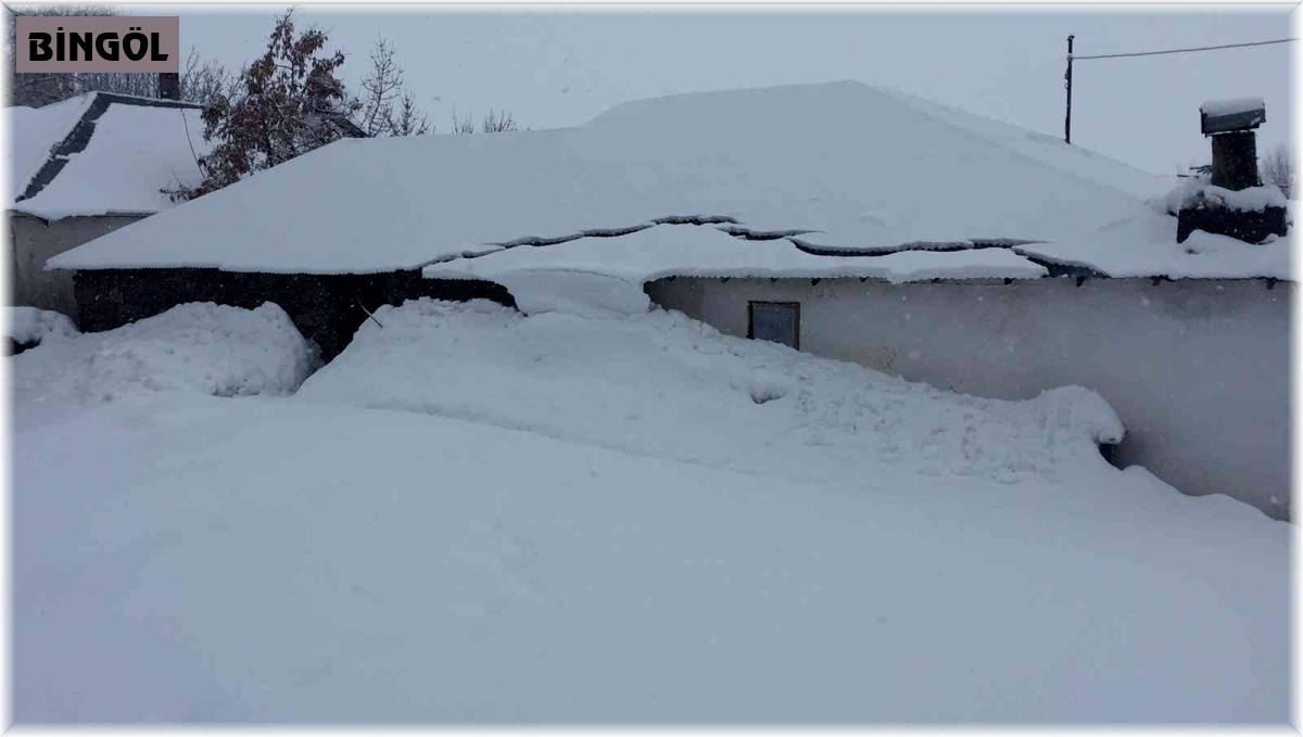 Karlıova'da ev ve ahırlar kar altında kaldı