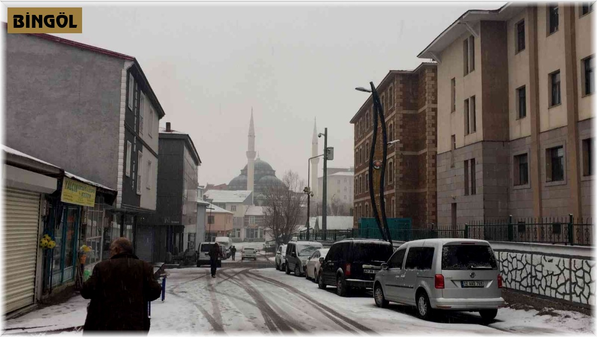 Karlıova'da kar yağışı