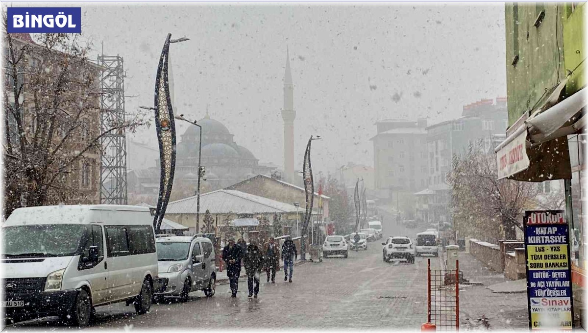 Karlıova'da kar yağışı başladı