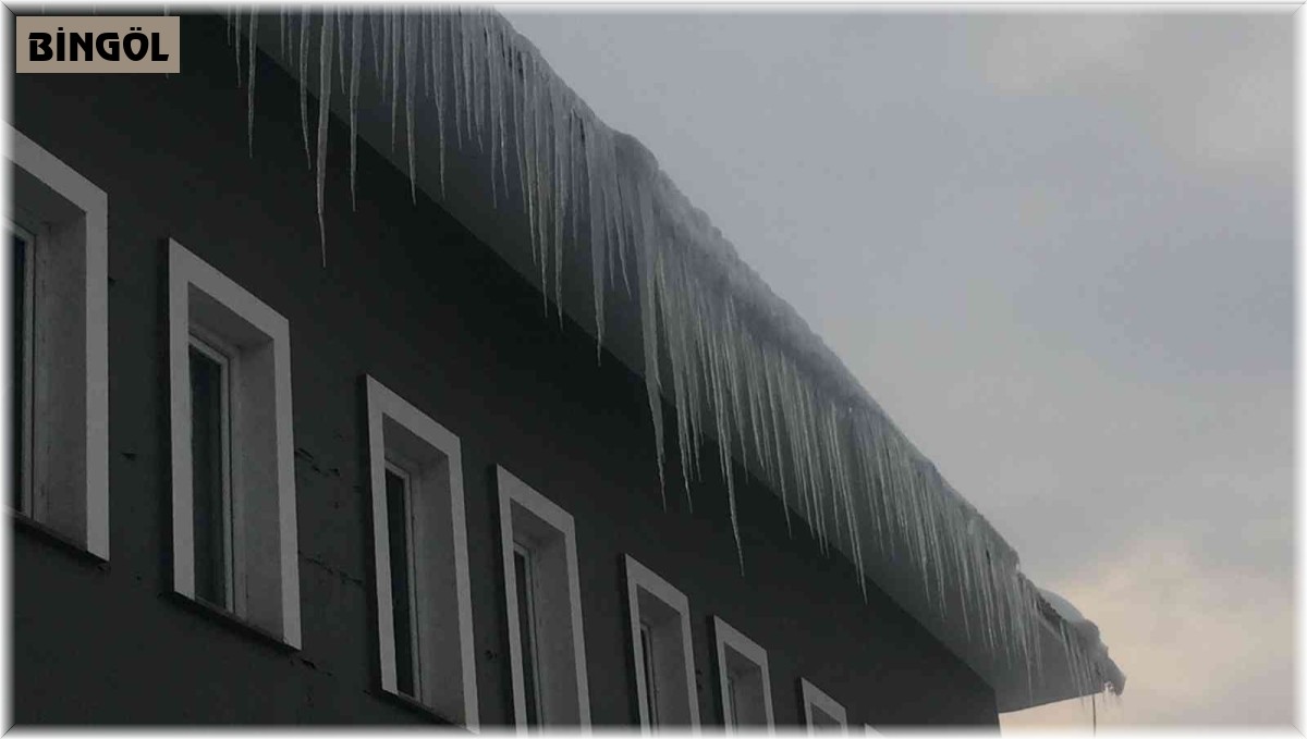 Karlıova'da kar yağışı durdu, hava sıcaklığı eksi 20'e düştü