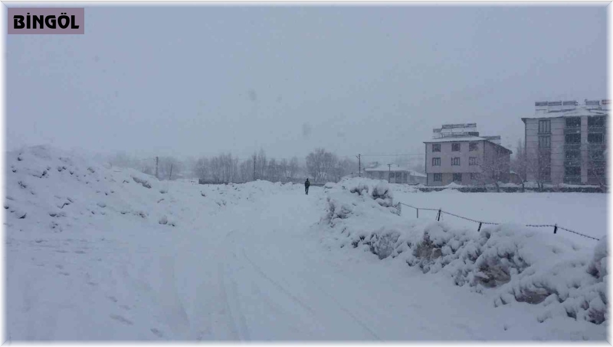 Karlıova'da kar yağışı etkili oldu