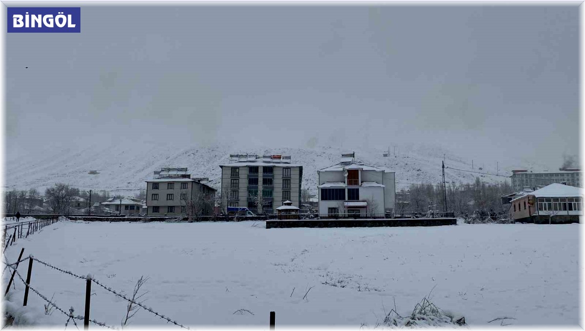 Karlıova'da kar yağışı etkisini sürdürüyor