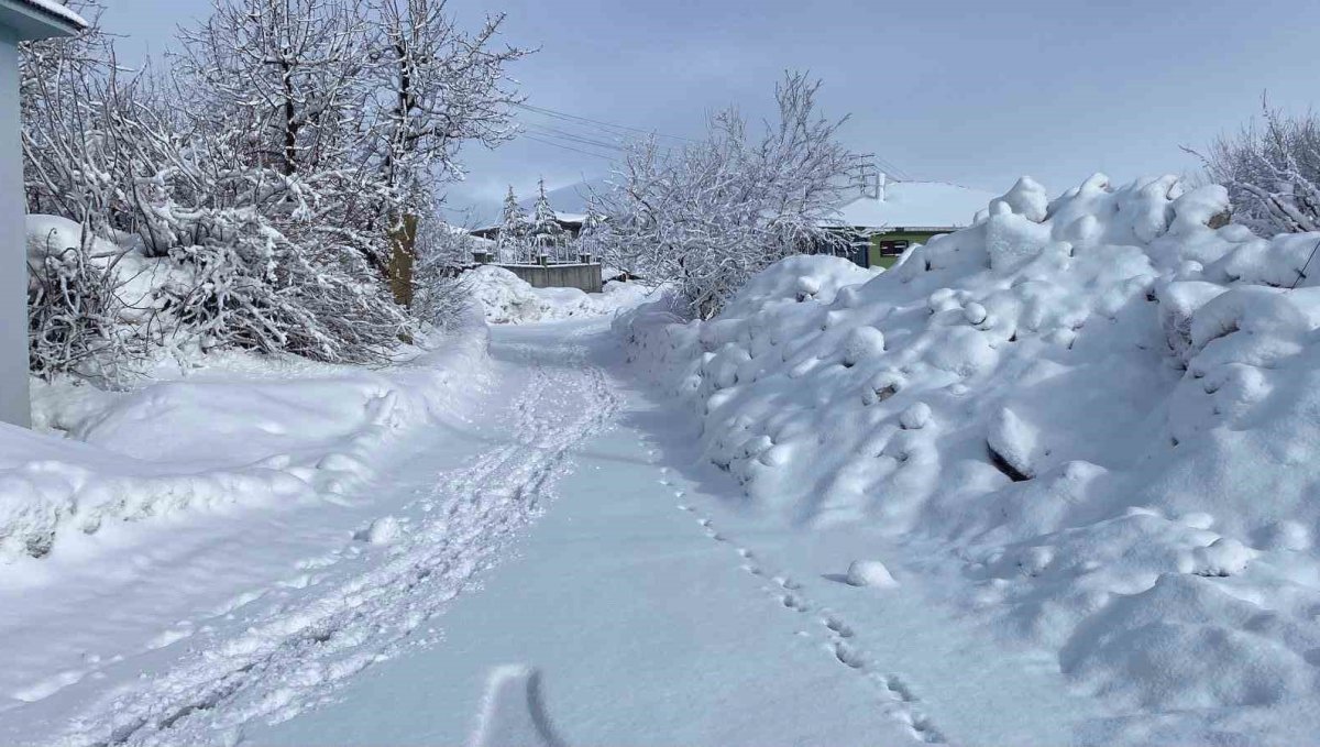 Karlıova'da kar yağışı etkisini sürdürüyor