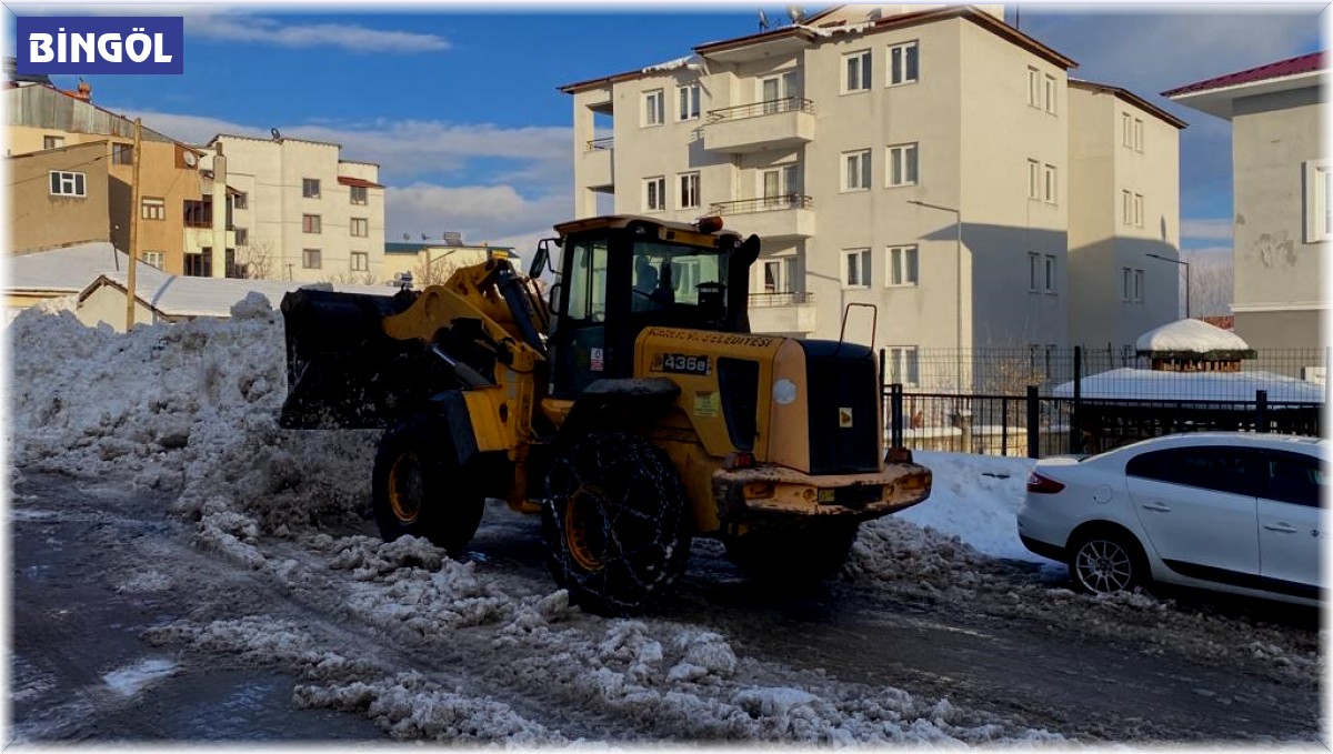 Karlıova'da karlar kamyonlarla ilçe dışına taşıyor