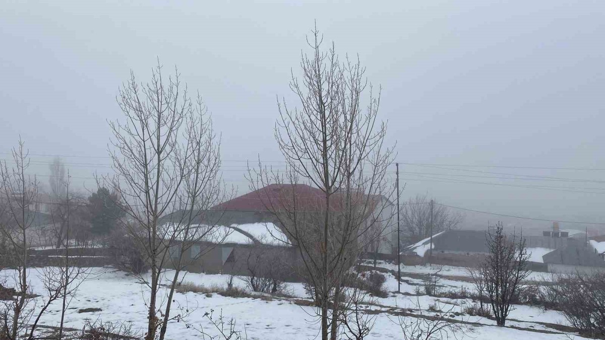 Karlıova'da sis etkili oldu