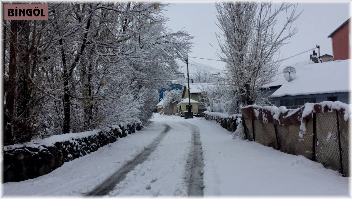 Karlıova kara teslim