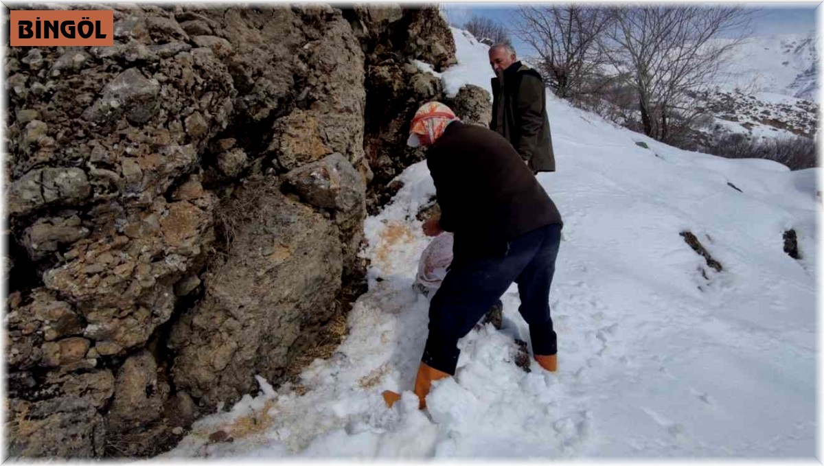 Karlıova kırsalına 550 kilo yem bırakıldı