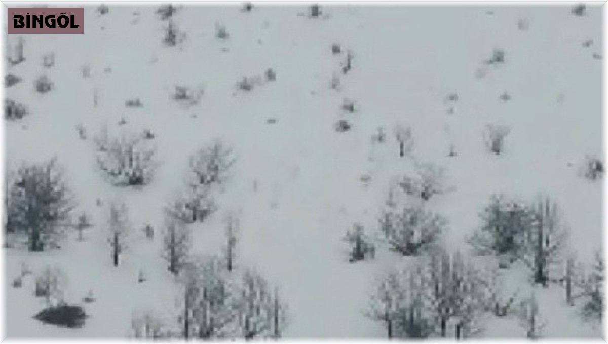 Karlıova ve Yedisu arasında çığ düştü