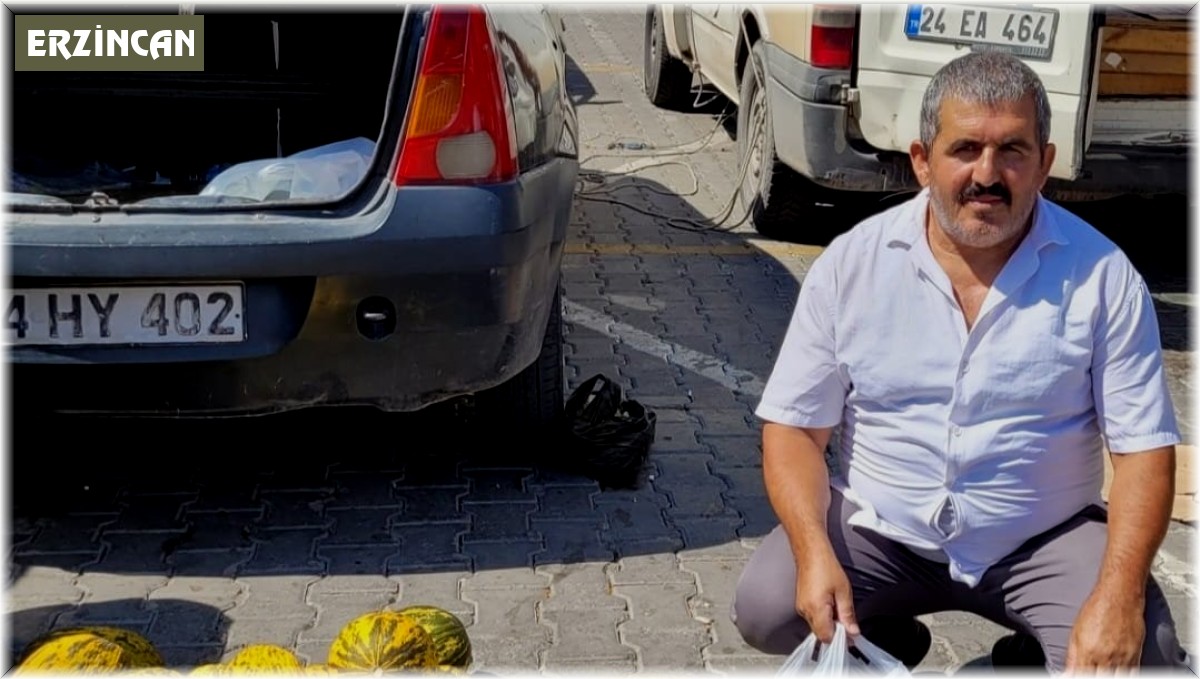 Karpuz gibi patlıcan