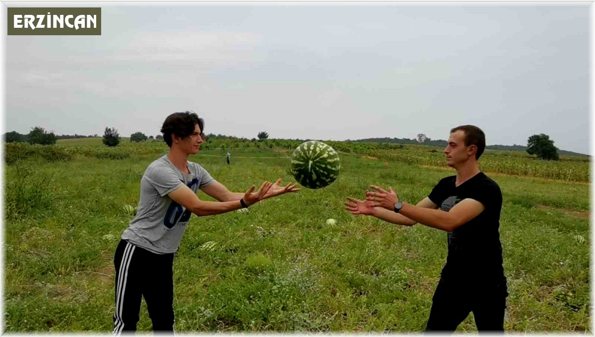 Karpuz nasıl seçilir? Karpuz hakkında ilginç bilgiler