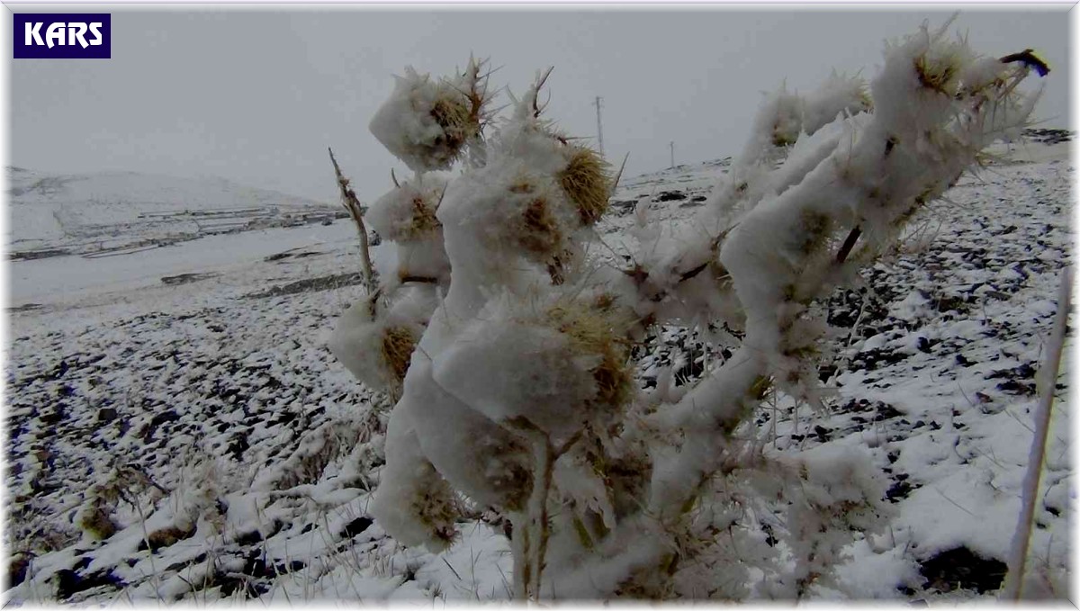 Kars'a mevsimin ilk karı yağdı