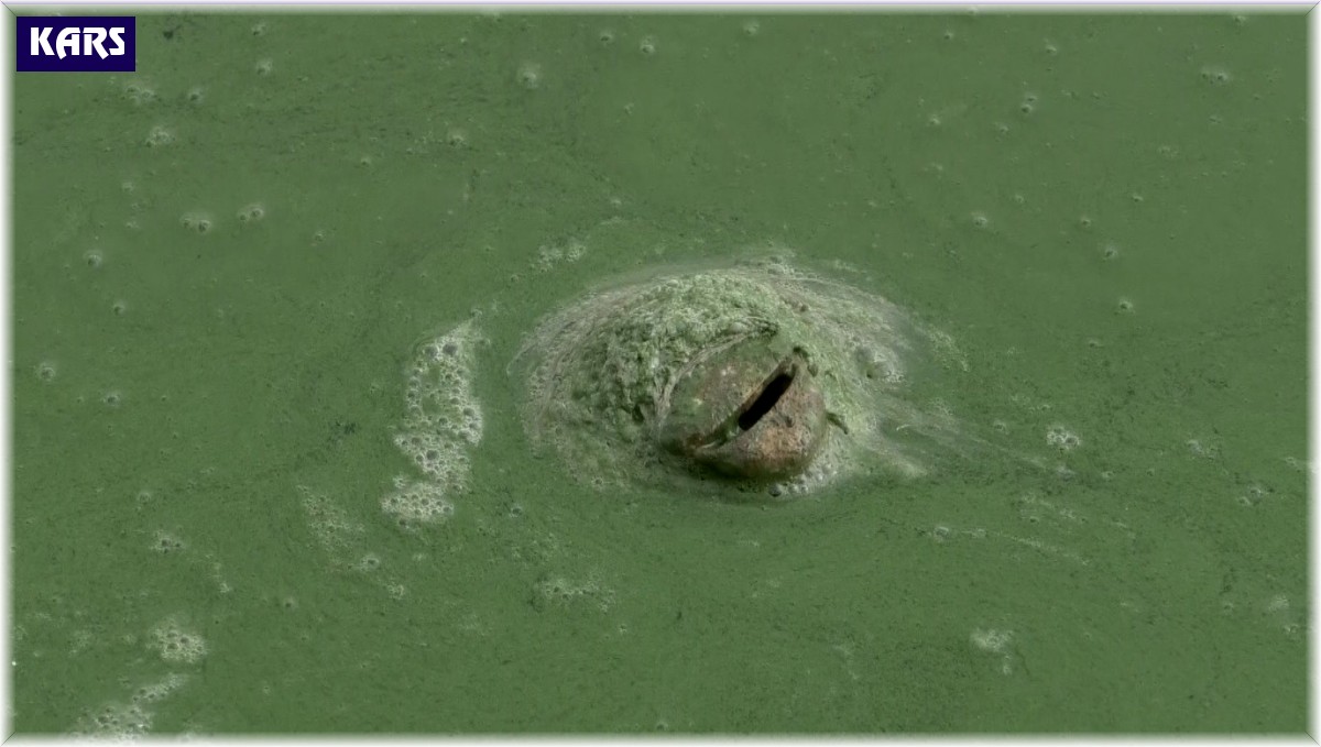 Kars Baraj Gölü yeşile büründü, etrafa pis kokular yayıldı