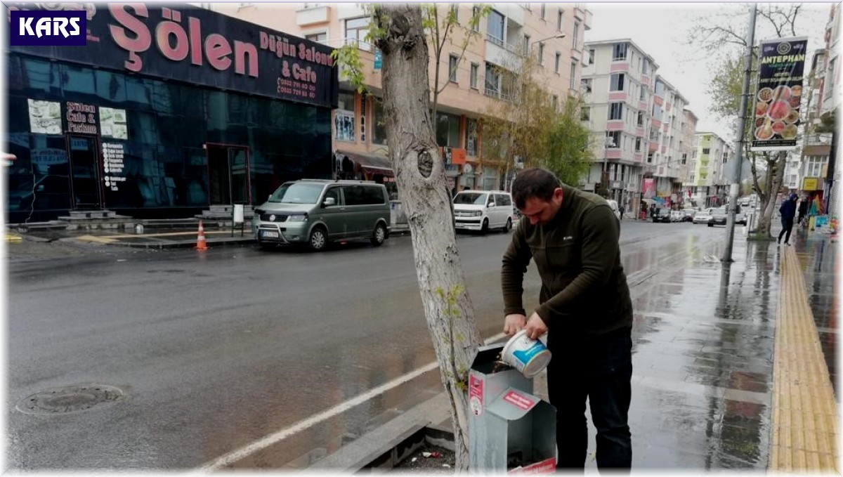 Kars Belediyesi 130 noktada sokak köpeklerinin beslenmesini sağlıyor