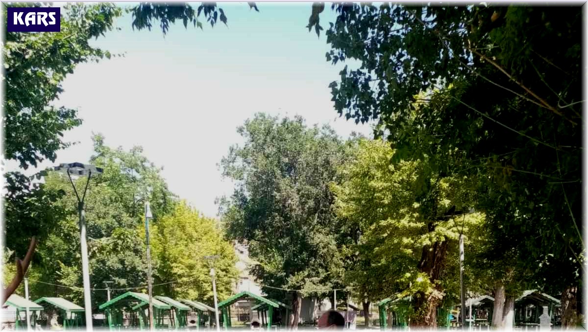 Kars Belediyesi parka ve bahçeleri ilaçlıyor