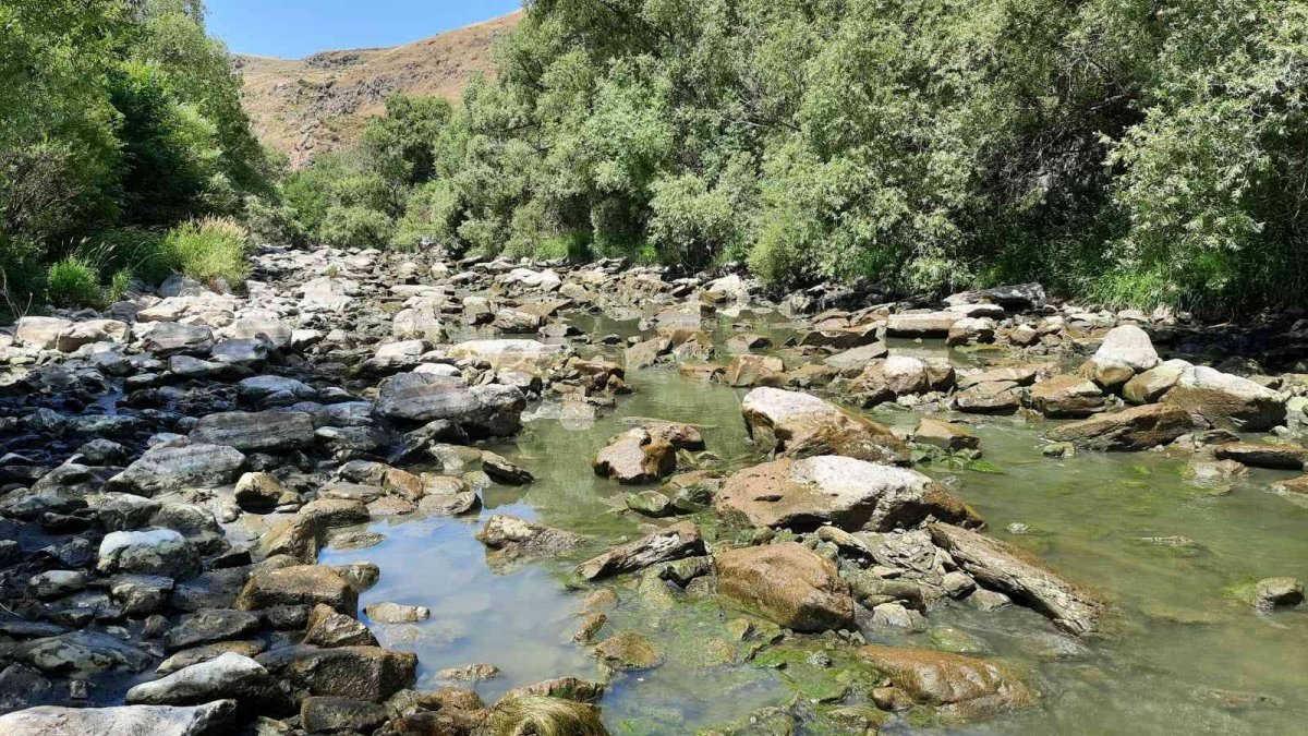 Kars Çayı'nın temizliği sürüyor