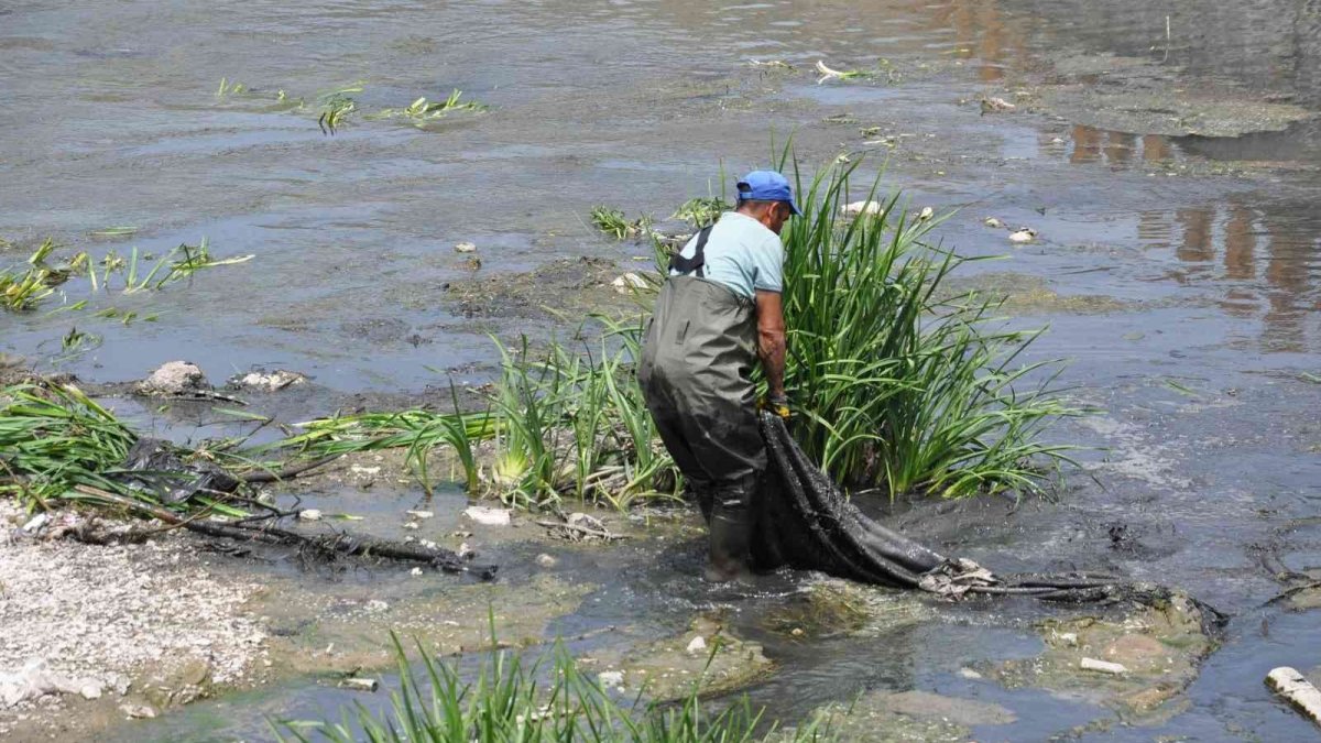 Kars Çayı temizleniyor
