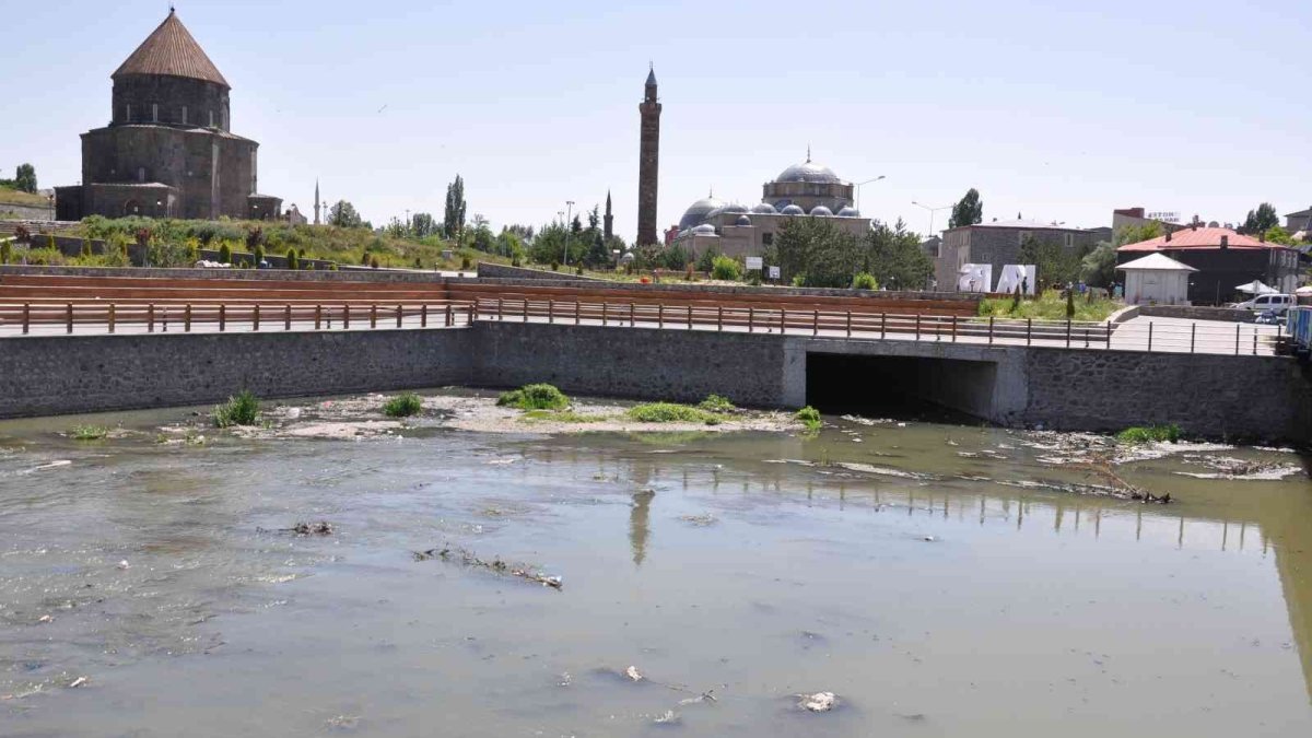 Kars Çayı zehir akıyor