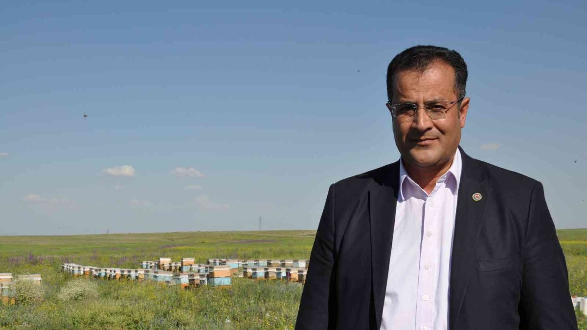 Kars coğrafi işaretli bala doyacak