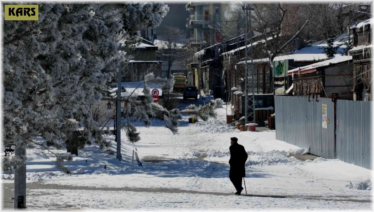 Kars eksi 13 ile dondu, ağaçlar kırağı tuttu
