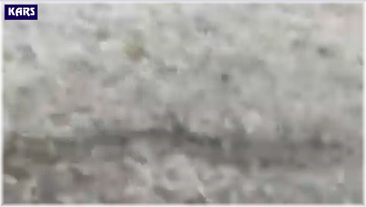 Kars'ı dolu vurdu, tarım arazileri zarar gördü