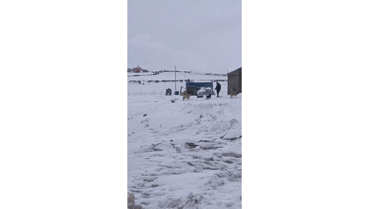 Kars'ın soğuğunda enerji mesaisi: Aras Edaş ekiplerinin soğukla imtihanı