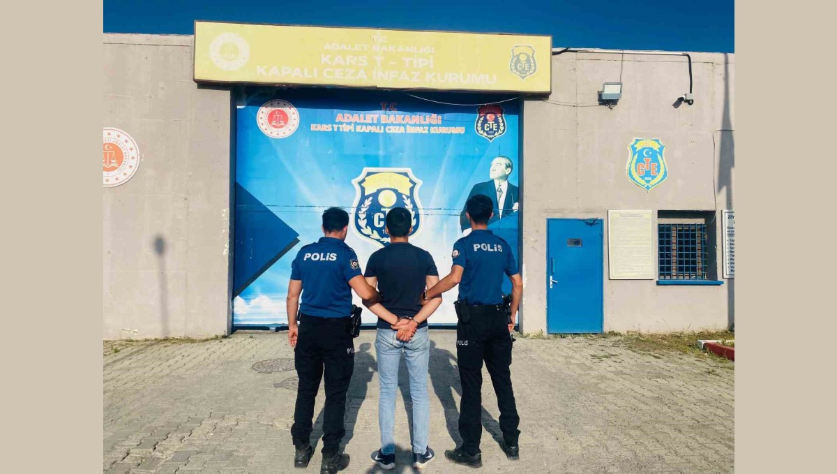 Kars Kalesi'nin otlarını yakan kişinin 27 suç kaydı çıktı