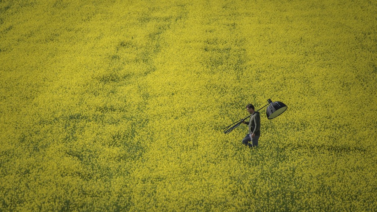 Kars ovalarında renklerin dansı