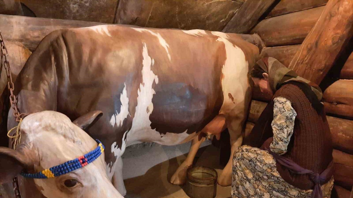 Kars Peynir Müzesi yoğun ilgi görüyor