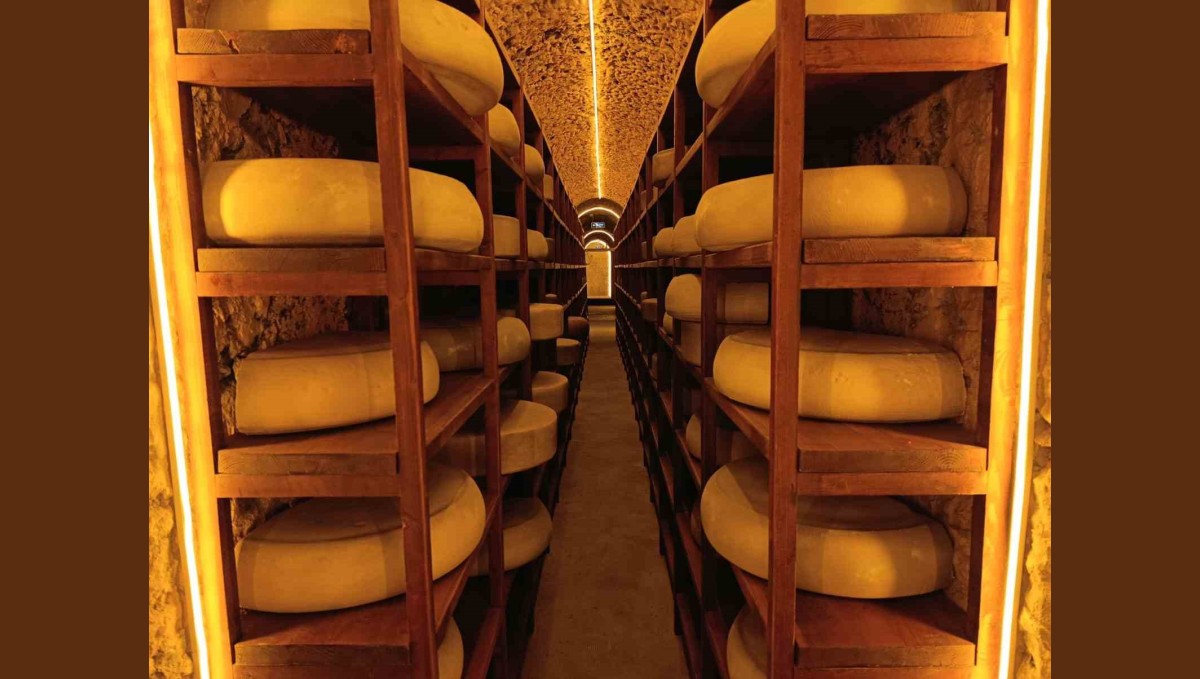 Kars Peynir Müzesi yoğun ilgi görüyor