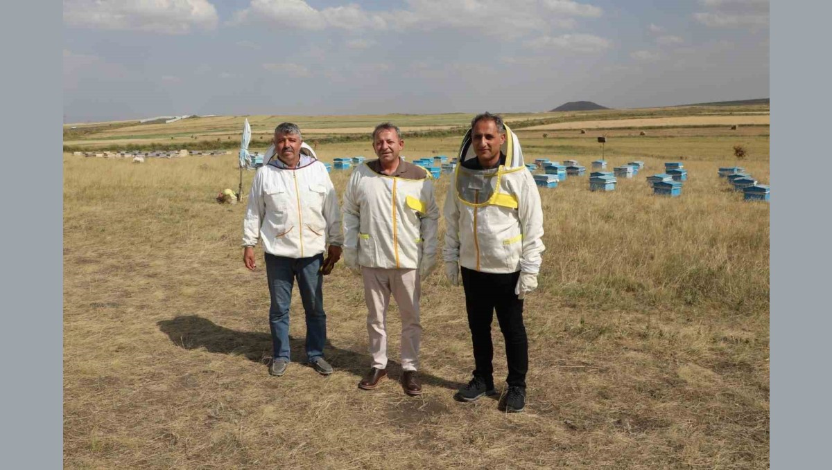 Kars'ta 2025 yılında bin 800 ton bal rekoltesi beklentisi