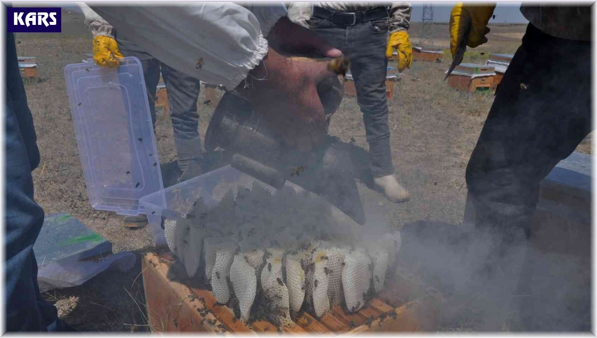 Kars'ta 26 yıldır dede mesleği arıcılık yapıyor