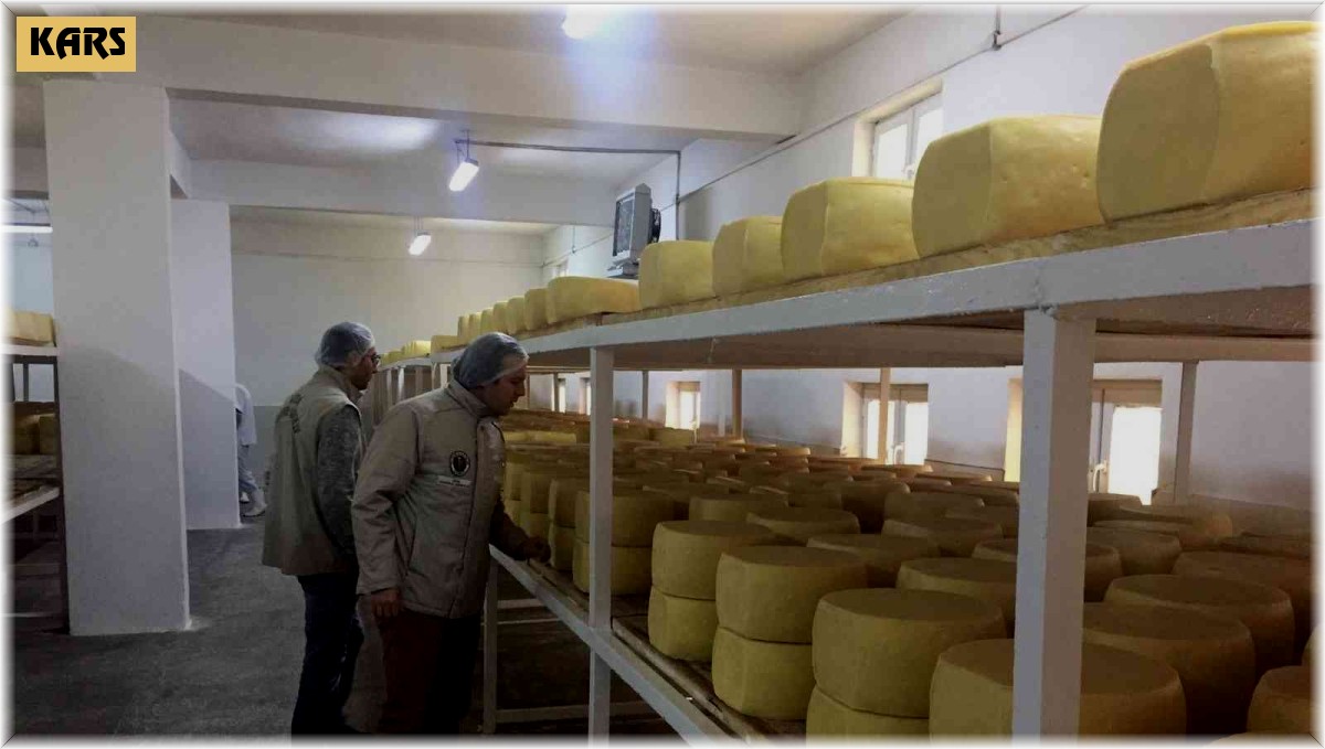 Kars'ta 3 bin 531 işletme denetlendi