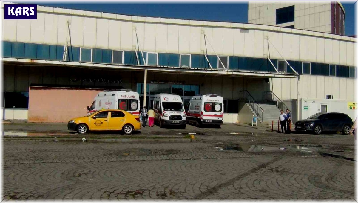 Kars'ta 55 acemi kasap kendisini yaraladı