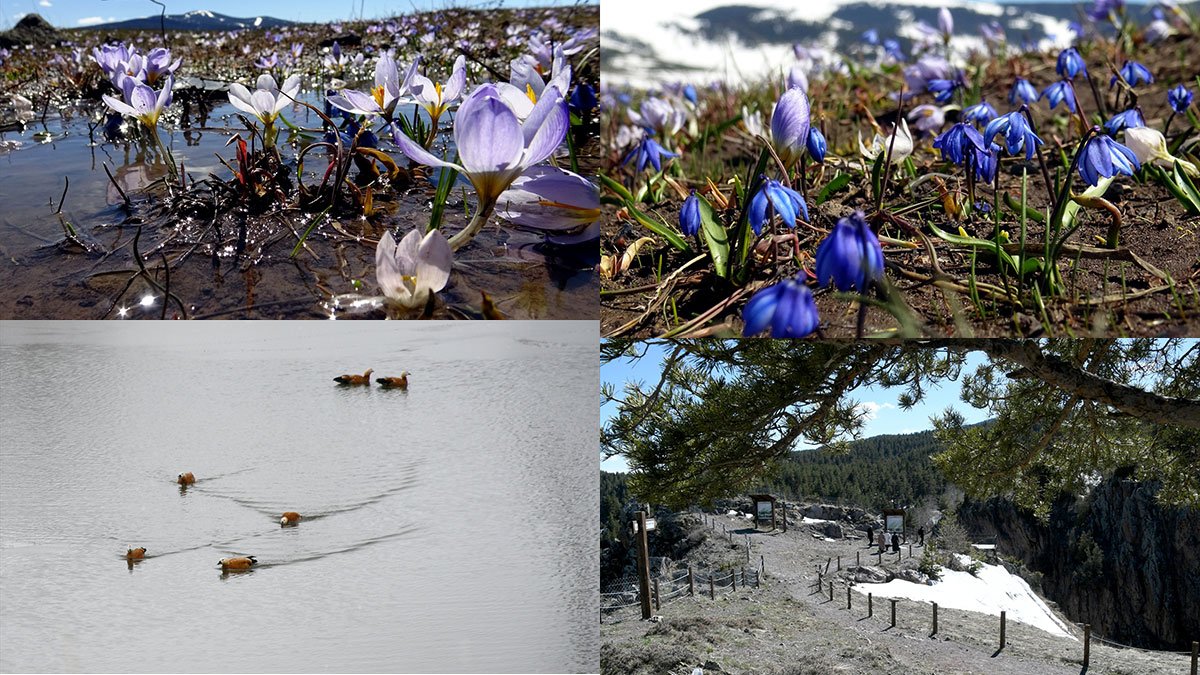 Kars'ta 6 Ay Buzla Kaplı Kalan Keklik Şelalesi Yeniden Coştu