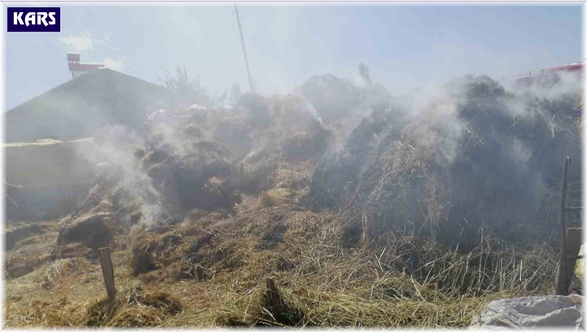 Kars'ta 700 balya ot yandı
