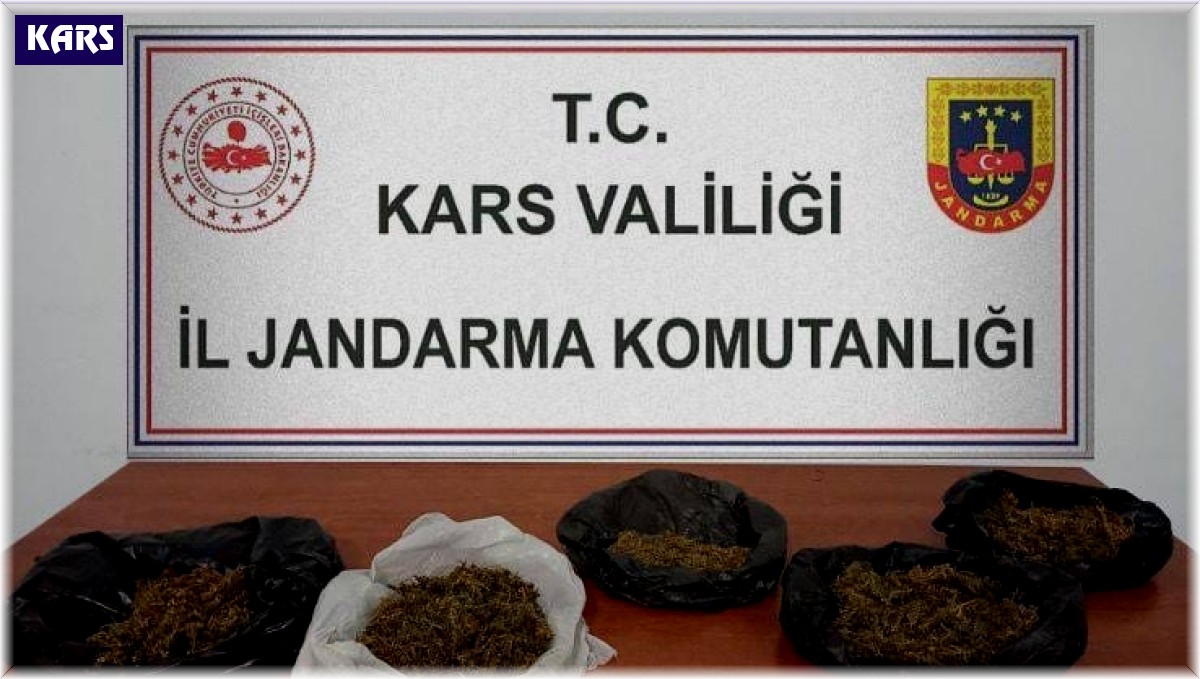 Kars'ta 700 gram bonzai ele geçirildi