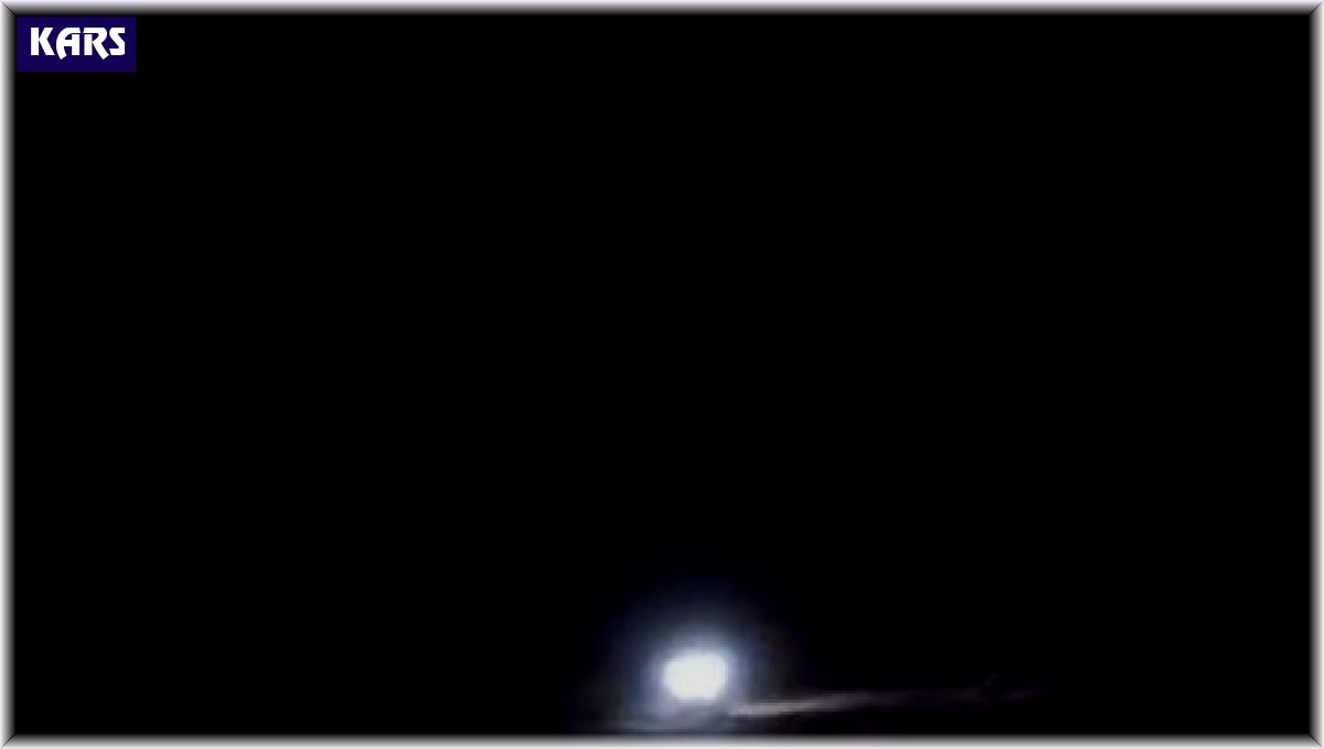 Kars'ta aç kalan domuz köye indi