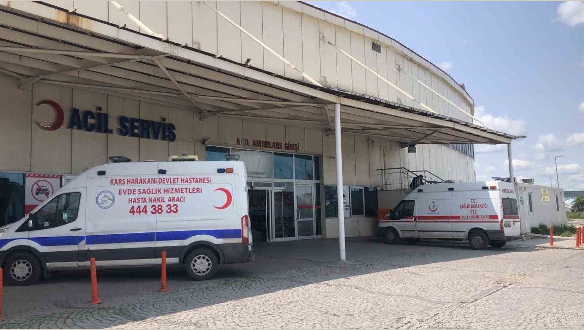 Kars'ta acemi kasaplar kendileri kesti