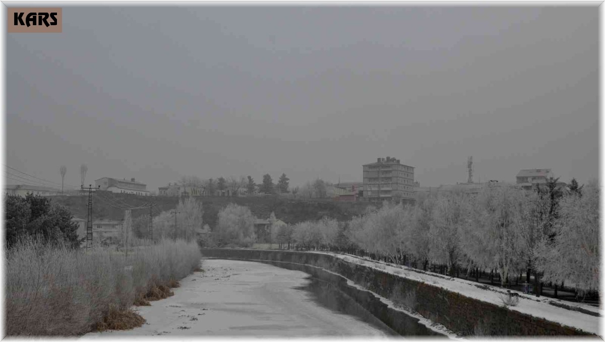 Kars'ta ağaçlar kırağı tuttu
