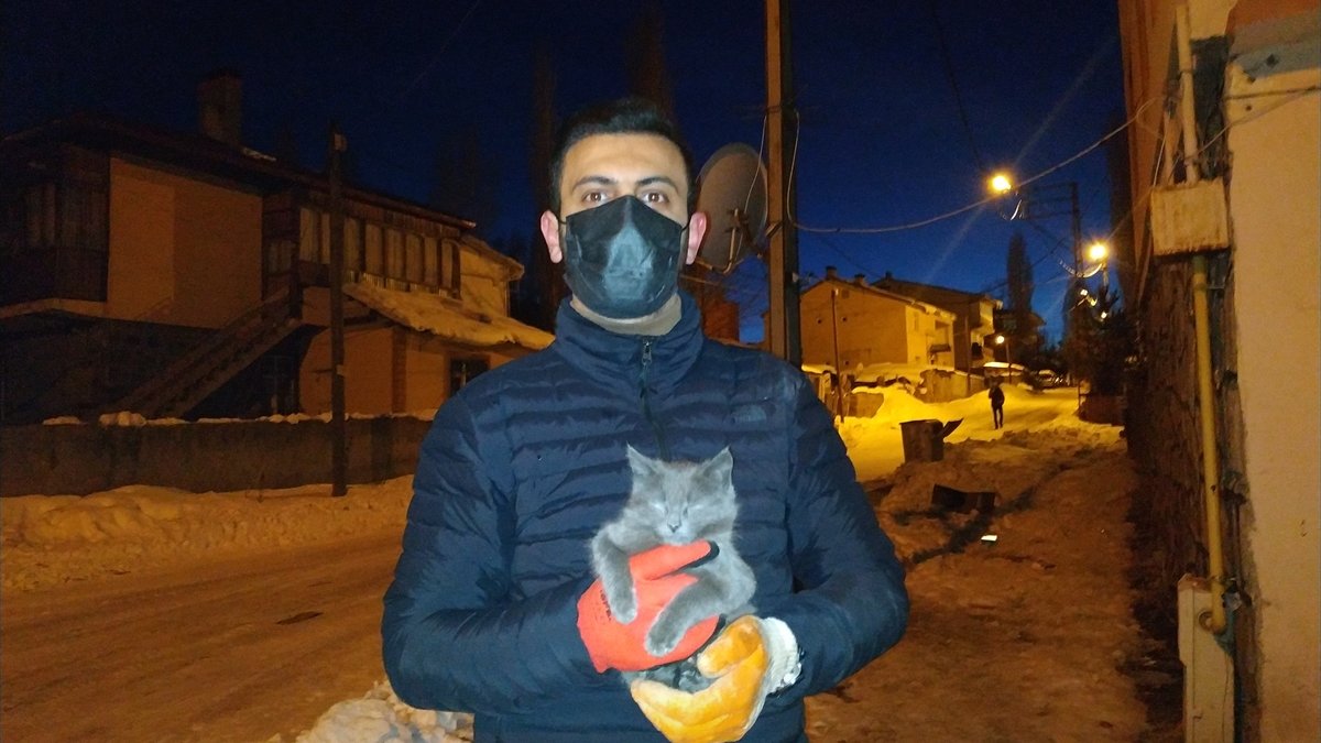 Kars'ta ağaçta mahsur kalan kediyi itfaiye kurtardı